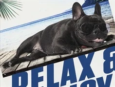 Name It bright white t-shirt print